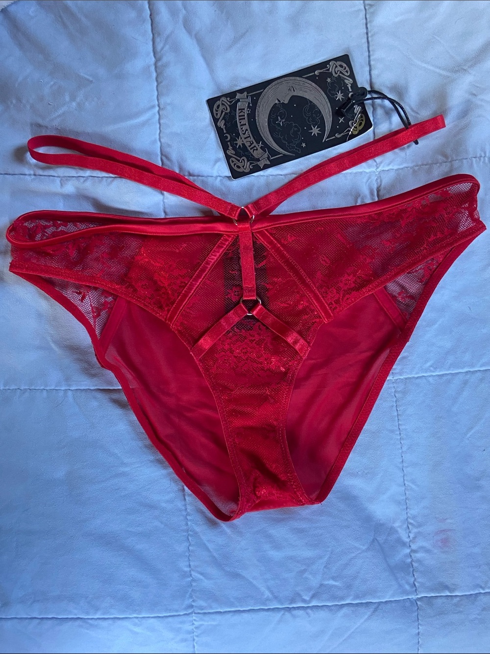 🏷️ BNWT Killstar Deadly Attraction Red Lace Panel Sheer Panty~O-Ring Accent